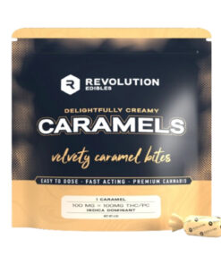 Buy (Single Piece) Indica Creamy Caramel